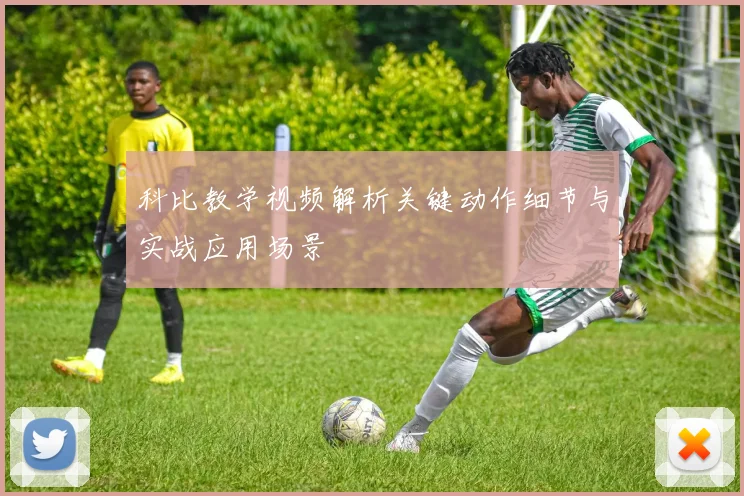 科比教学视频解析关键动作细节与实战应用场景